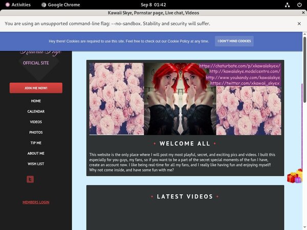 $1 Kawaiiskye.modelcentro.com Trial Offer