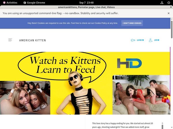 Americankittens Checkout Page