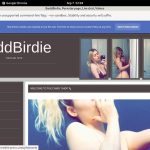 Baddbirdie.modelcentro.com Passcodes Baddbirdie.modelcentro.com Passcodes