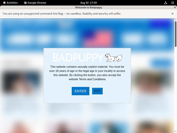Badpuppy.com With IBAN