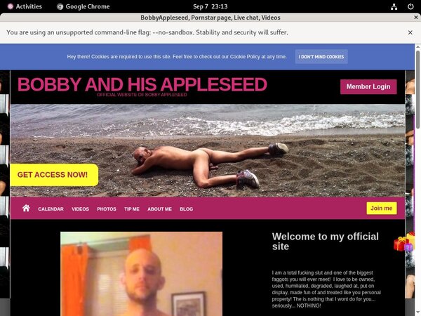 Bobbyappleseed.modelcentro.com Discount Links