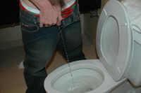 Boyspissing Discounted Membership s2 Boyspissing Discounted Membership s2