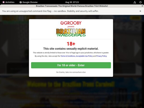 Brazilian Transsexuals Log In Brazilian Transsexuals Log In