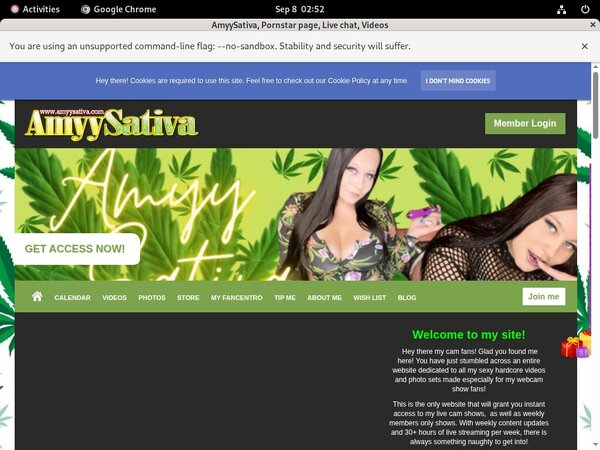 Cracked Amyysativa Account