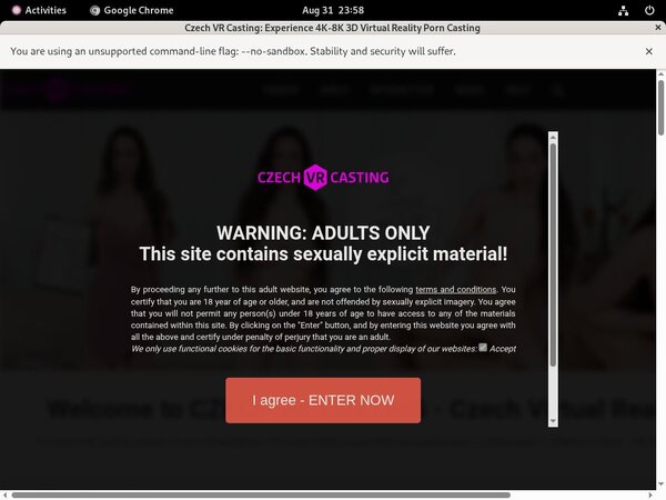 Czechvrcasting.com Password List