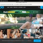 Daily Spizoo Accounts
