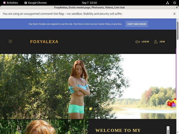 FoxyAleksa Bank Payment