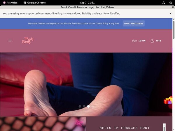 Frances.modelcentro.com Working Account