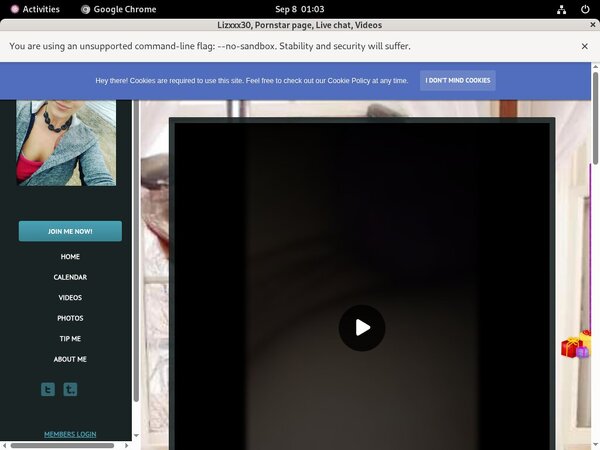 Free Premium Accounts For Lizxxx30.modelcentro.com