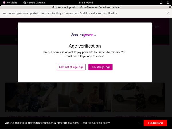 French Porn Gay Direct Pay
