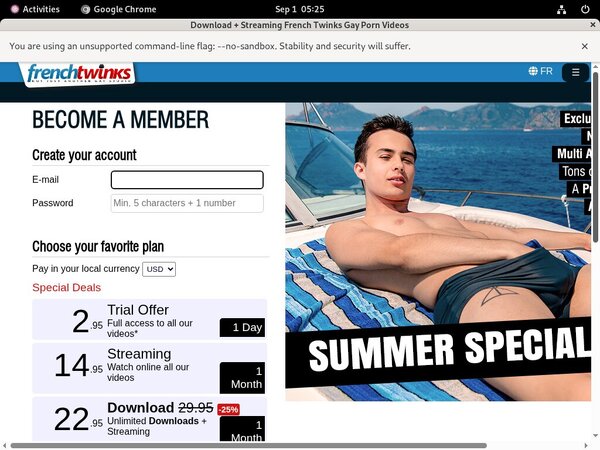 French-twinks.com Passworter