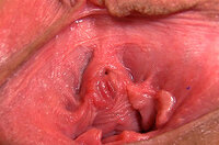 Gape My Pussy Bank s2 Gape My Pussy Bank s2