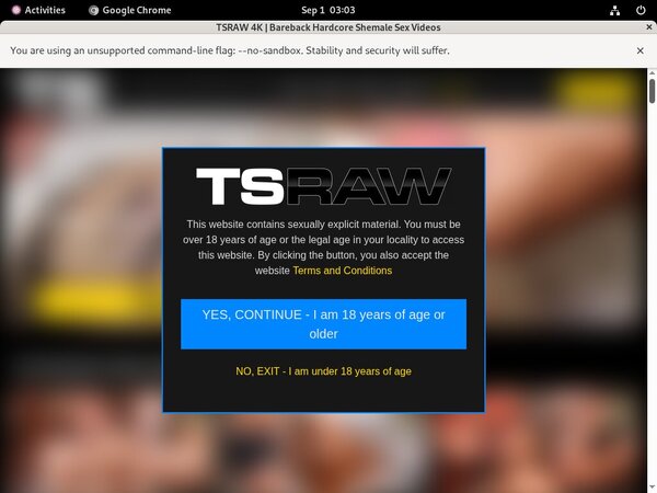 Get Into TS Raw Free