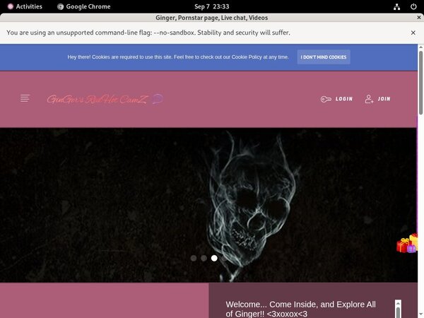 Ginger With Paysafecard