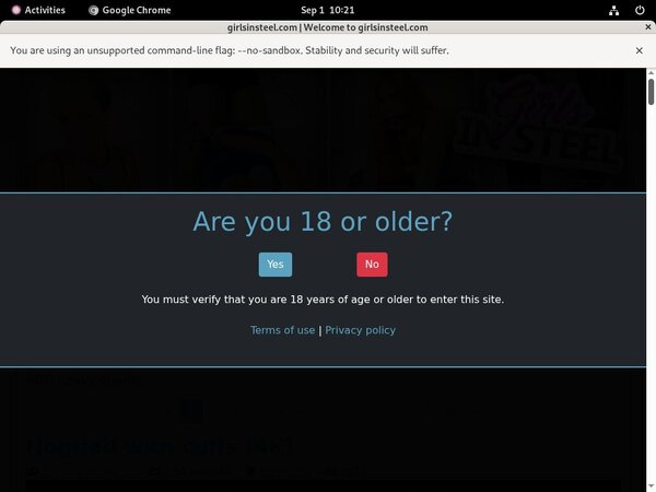 Girls In Steel Passwort Girls In Steel Passwort