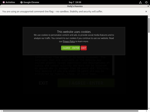 Hollys Hunnies Discount Url