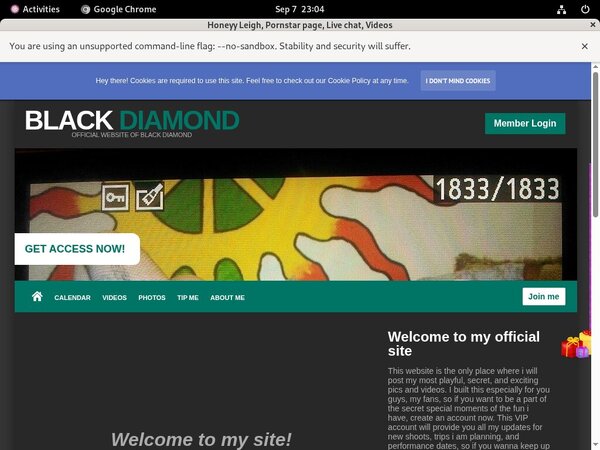 Honeyy Leigh Link Discount