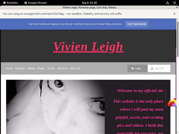 How To Get Vivienleighandme.modelcentro.com Free