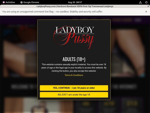 Ladyboy Pussy Live Cams