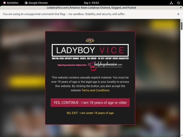 Ladyboyvice.com Porn Site Ladyboyvice.com Porn Site