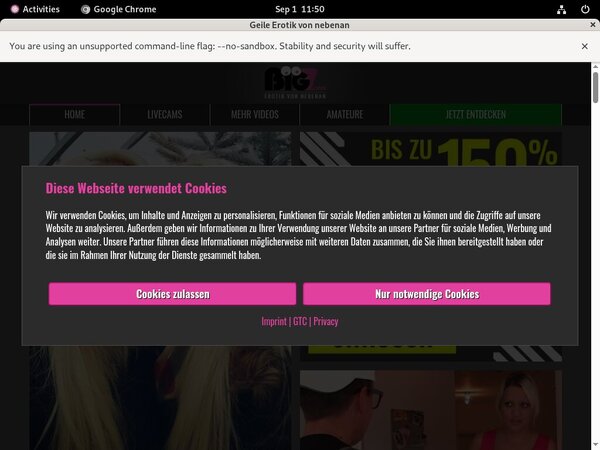 LindaKiss.com Netcash
