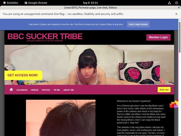 Linxer2013.modelcentro.com Discount Lowest Linxer2013.modelcentro.com Discount Lowest