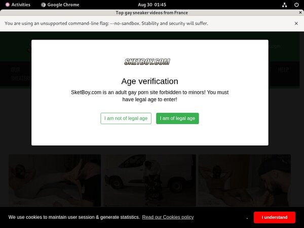 Login Sket Boy Free Trial