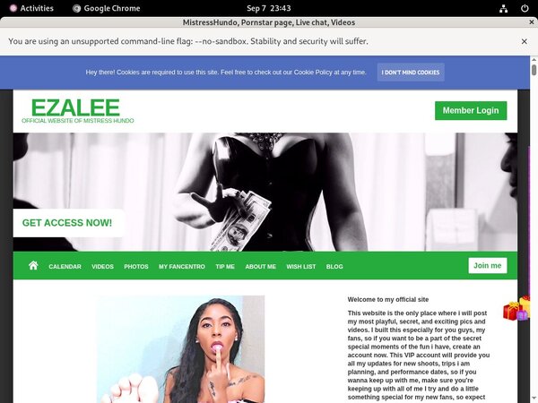 Login To Izaleecortez.modelcentro.com Free