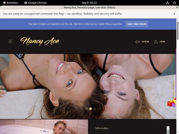 Nancy Ace Website Password