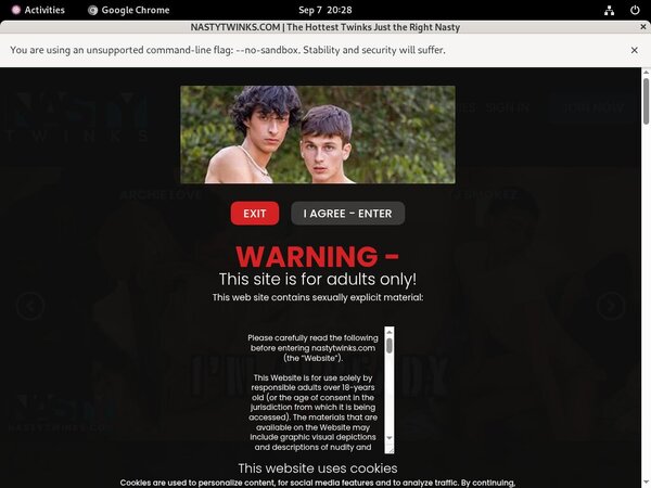 Nasty Twinks Online