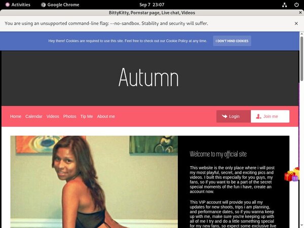 Password To BittyKitty Password To BittyKitty