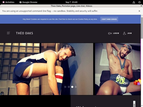 Passwords To Theooaks.modelcentro.com