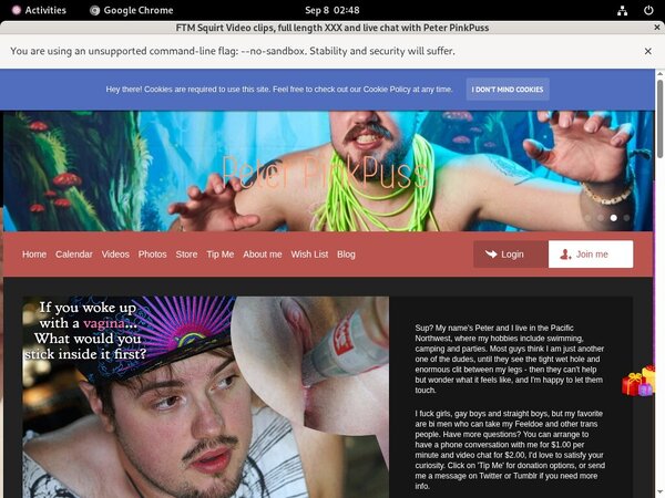 Peterpinkpuss Web Site Peterpinkpuss Web Site