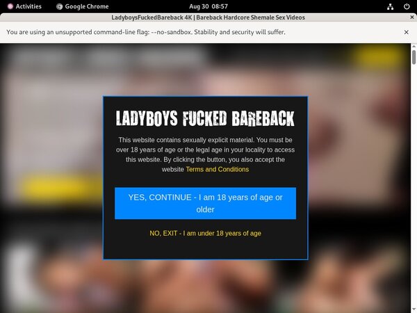 Premium Ladyboysfuckedbareback.com Site Rip