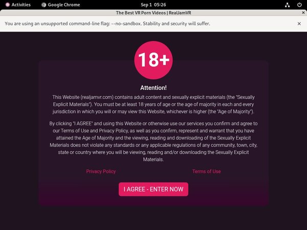 Real Jam VR Sex Tape Real Jam VR Sex Tape