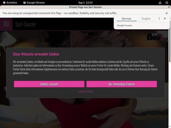 SariSander Discount Logins