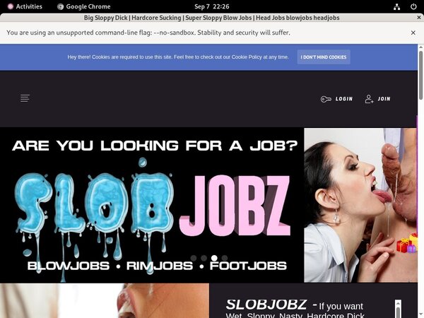 Slobjobz.com With Paysafecard