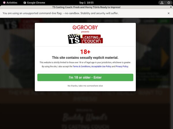 Ts-castingcouch.com Co