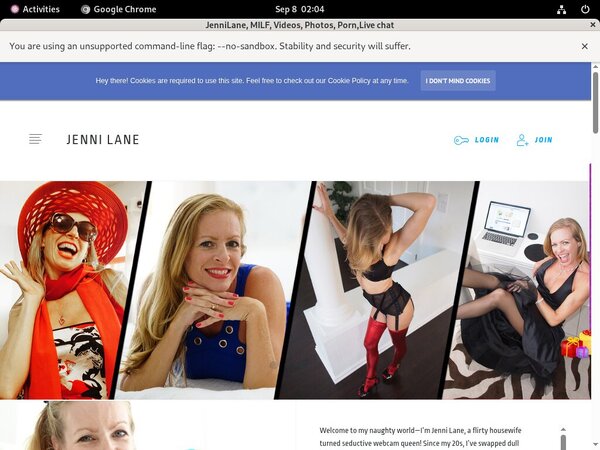 Using Paypal Jennilane.com