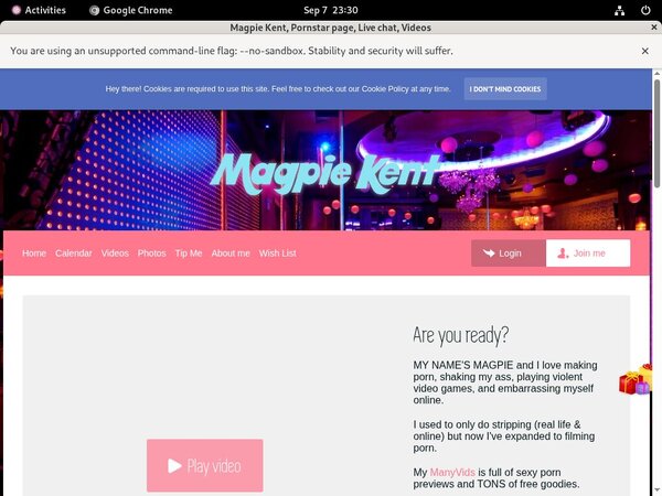 What Is Magpie Kent