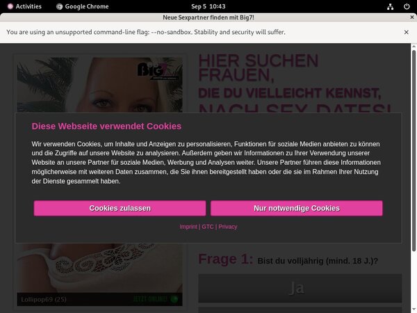 YourSecretDream Latest Passwords